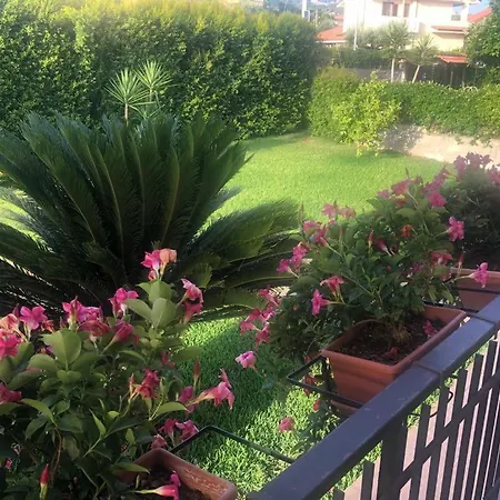 Daire La Casa Di